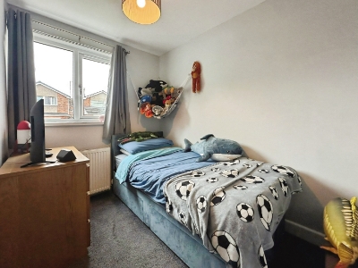 Picture 16